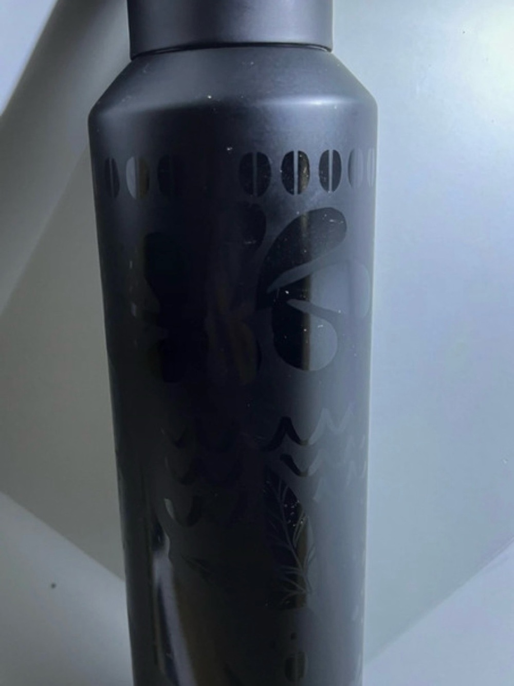 Matte Black Decorative Starbucks Water Bottle - Black